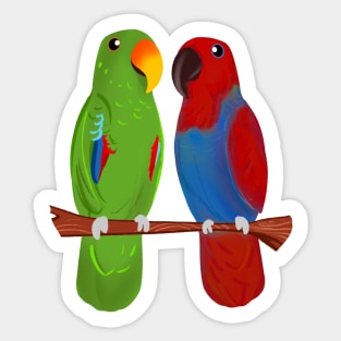 Ekkie Love Cute Eclectus Parrot Couple for parrot lovers Sticker